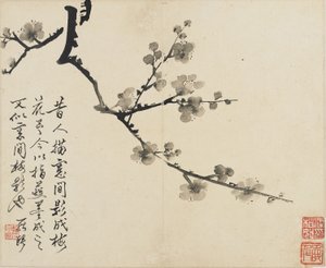 風景、花と鳥：梅、清朝、1780年（紙にインク）